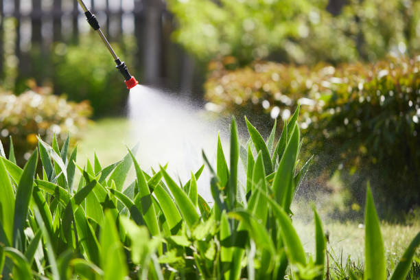 24/7 Emergency Fumigation Services experts in Atoka, OK