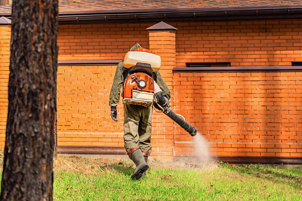 Trusted Cockroach Control service in Atoka, OK - Nex Pest Control
